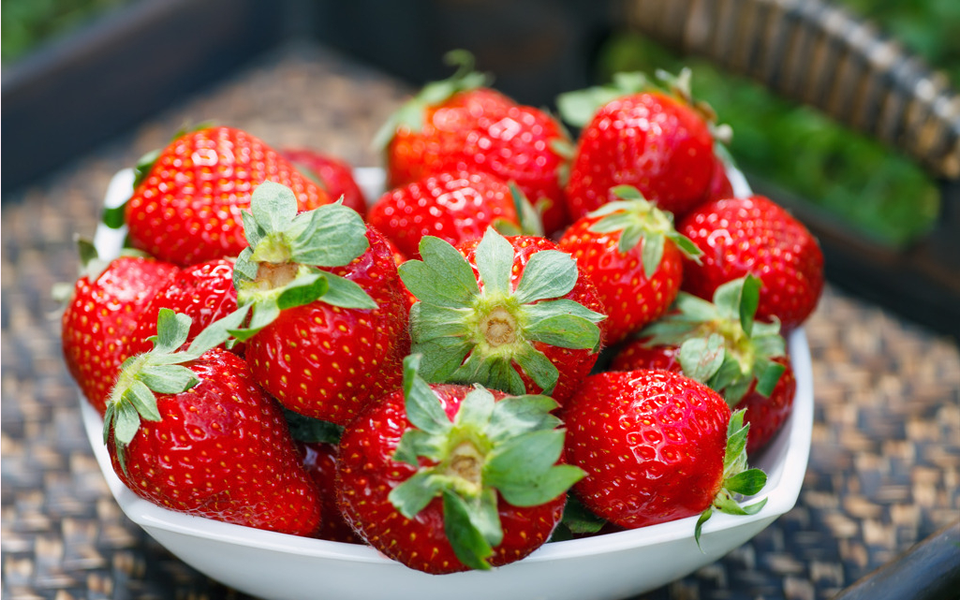 吃草莓的季节是几月份 正常是5月份左右（有大棚过年就能吃）