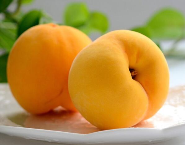 黄桃跟杏子有什么区别 黄桃的功效与作用