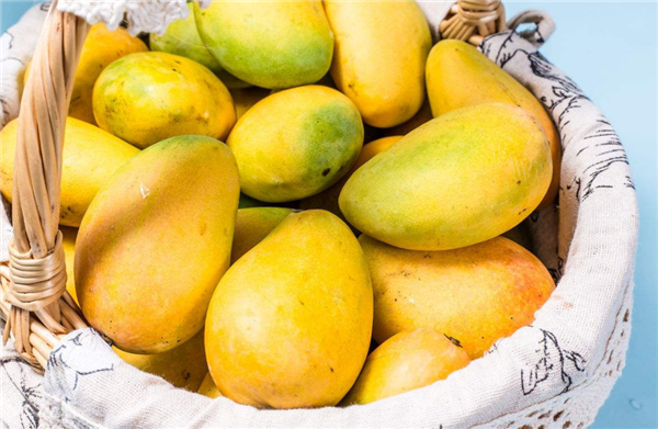 青芒果和黄芒果的区别 青芒果和黄芒果是一种吗