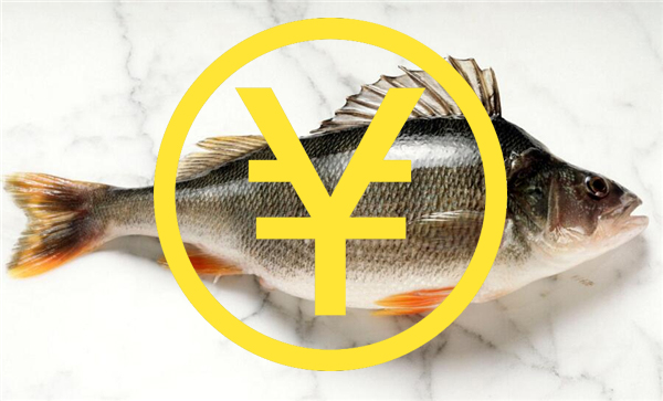 鲈鱼多少钱一斤，2019年鲈鱼价格预估