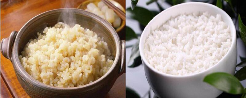 糙米饭和白米饭的区别