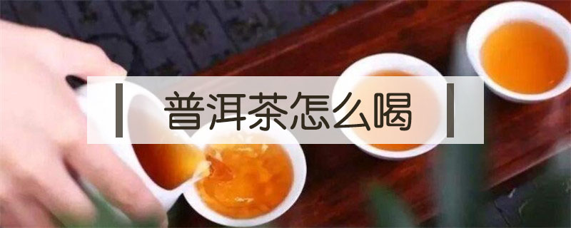 普洱茶怎么喝