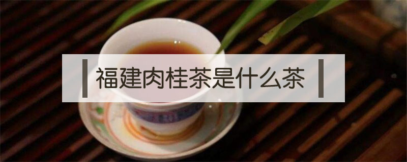 福建肉桂茶是什么茶