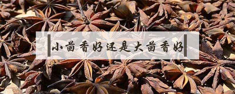 小茴香好还是大茴香好