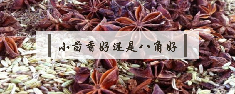 小茴香好还是八角好