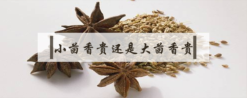 小茴香贵还是大茴香贵