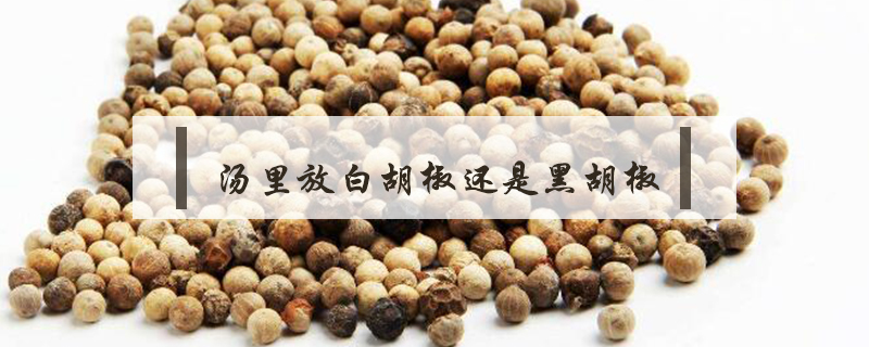 汤里放白胡椒还是黑胡椒