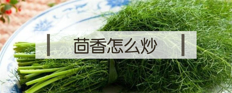 茴香怎么炒