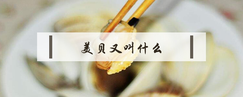 美贝又叫什么