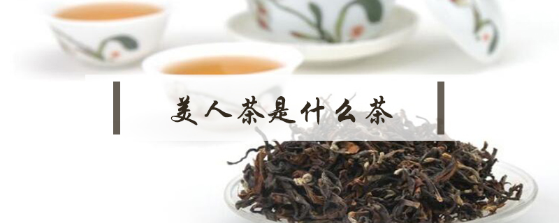 美人茶是什么茶