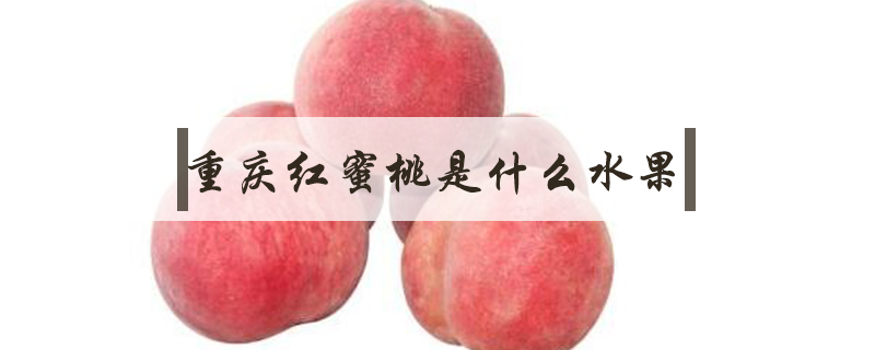 重庆红蜜桃是什么水果