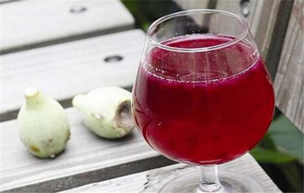 仙人掌果泡水对咽炎有帮助吗，仙人掌果泡水能不能和茶水同时饮用