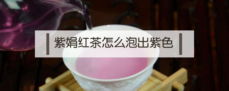 紫娟红茶怎么泡出紫色