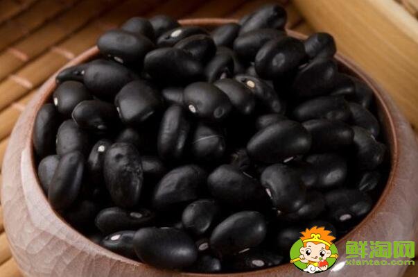 黑芸豆是黑豆吗，黑芸豆和黑豆的区别