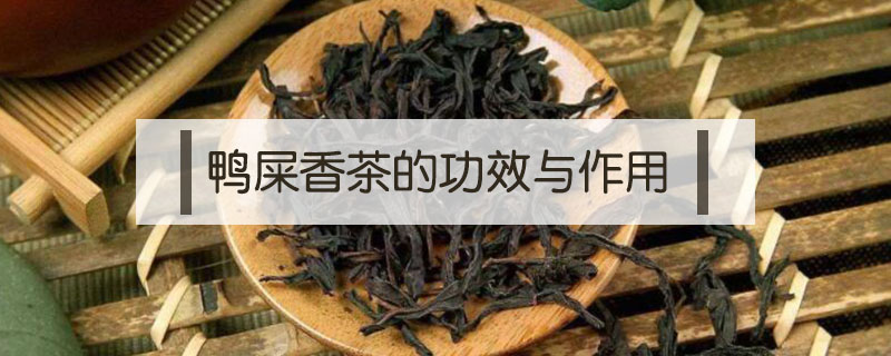 鸭屎香茶的功效与作用