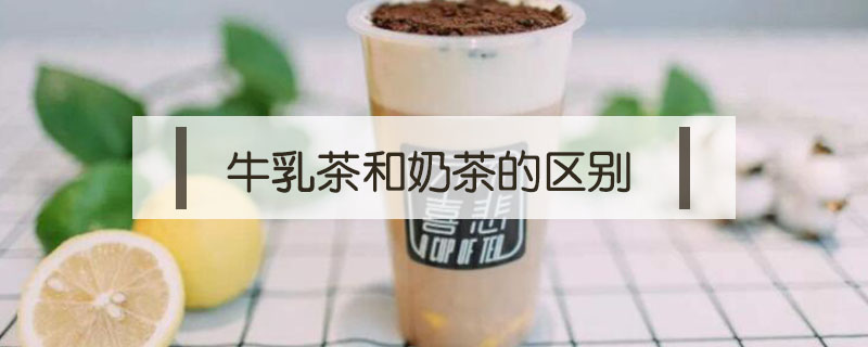 牛乳茶和奶茶的区别