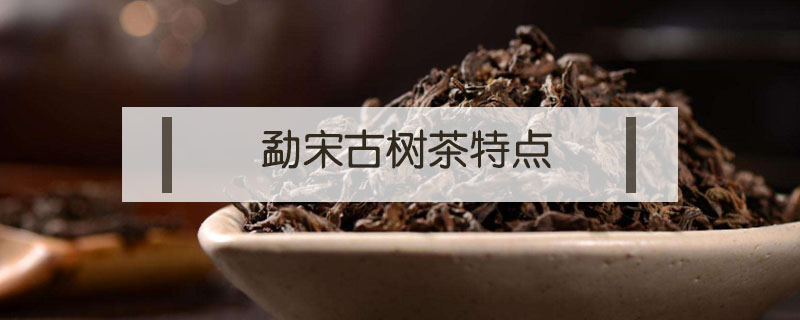 勐宋古树茶特点