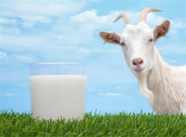 婴儿喝羊奶好还是牛奶好，进口纯羊奶排行榜10强