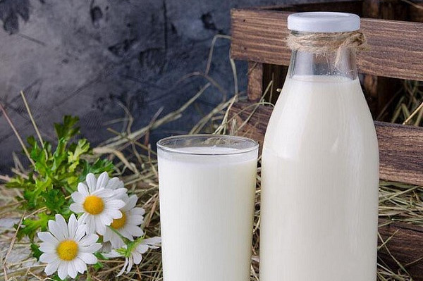 大人空腹可以喝羊奶吗，成年女性喝牛奶好还是羊奶好