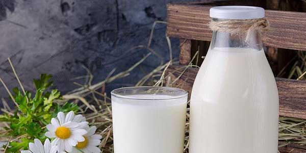 国产纯羊奶排行榜，纯羊奶排行榜10强企业