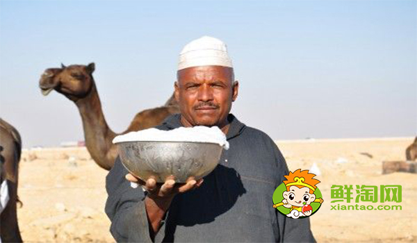 骆驼奶品牌有哪些品牌，国家品牌骆驼奶哪个最好