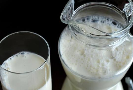 骆驼奶和牛奶可以一起做酸奶吗，骆驼鲜奶和骆驼酸奶哪个营养好