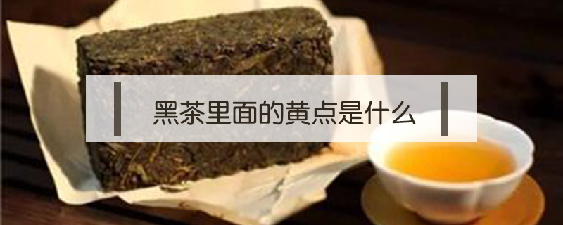 黑茶里面的黄点是什么