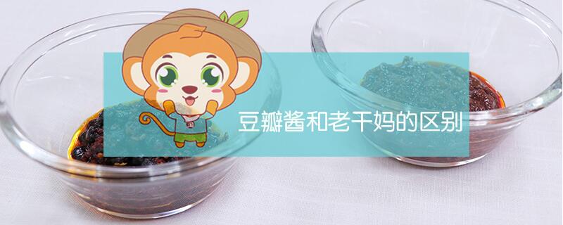 豆瓣酱和老干妈的区别