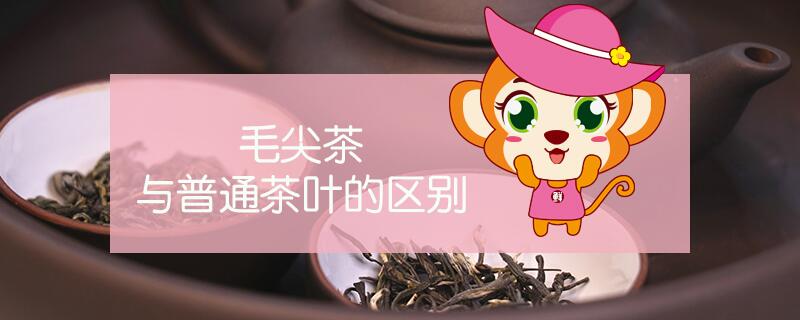 毛尖茶与普通茶叶的区别