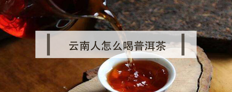 云南人怎么喝普洱茶