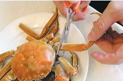 螃蟹哪里不能吃高清图，螃蟹的吃法剥法图解