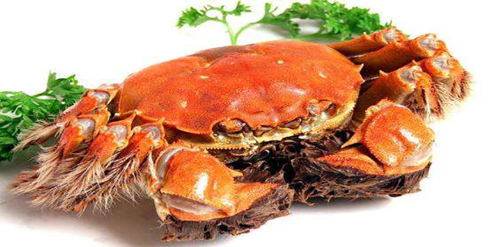 大闸蟹属于什么蟹，每年吃大闸蟹的季节几月到几月
