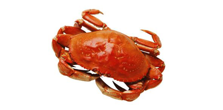 公的螃蟹有没有蟹黄，蟹膏是螃蟹的什么器官