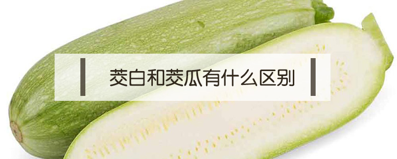 茭白和茭瓜有什么区别