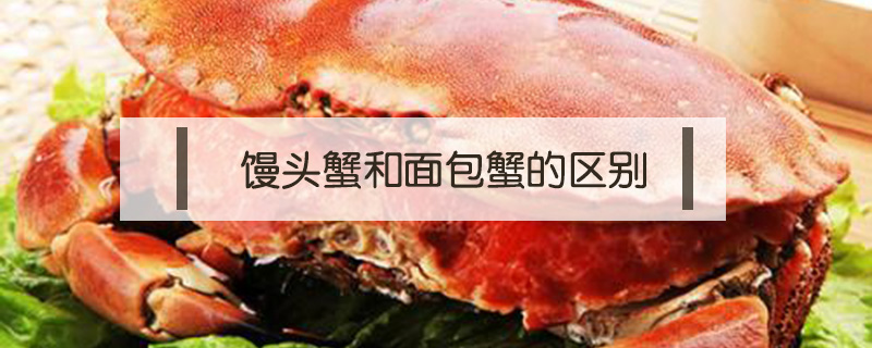 馒头蟹和面包蟹的区别