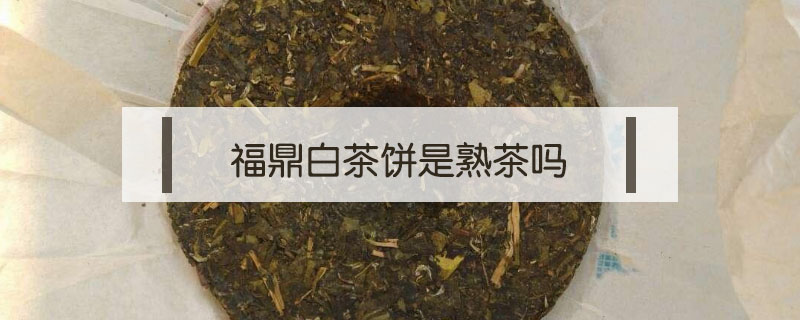 福鼎白茶饼是熟茶吗