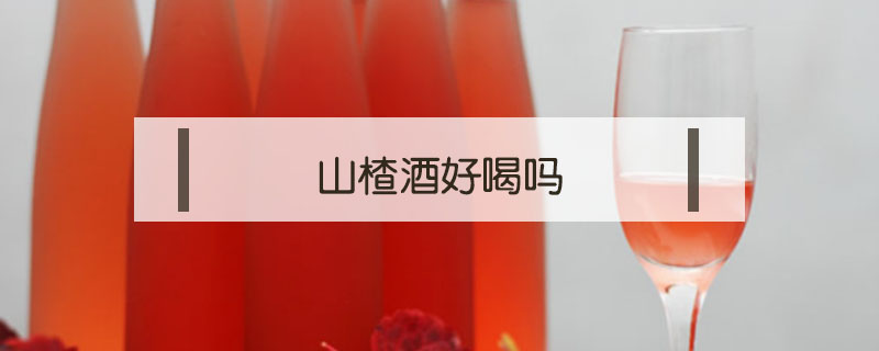 山楂酒好喝吗