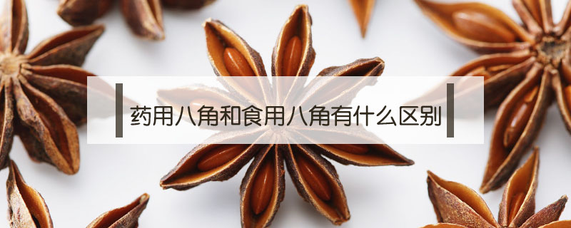 药用八角和食用八角有什么区别