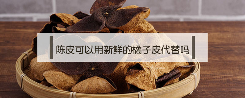 陈皮可以用新鲜的橘子皮代替吗