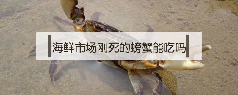 海鲜市场刚死的螃蟹能吃吗