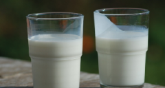 空腹喝牛奶能减肥吗，空腹喝牛奶的危害