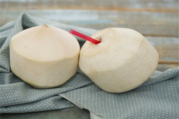 海南冬天有椰子吗，哪种椰子最好喝