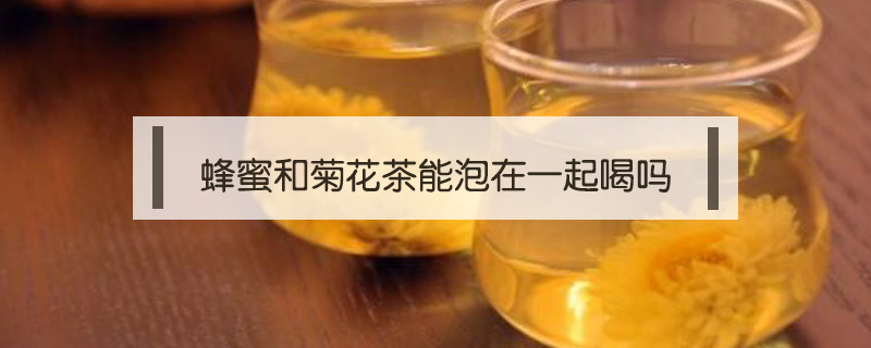 蜂蜜和菊花茶能泡在一起喝吗