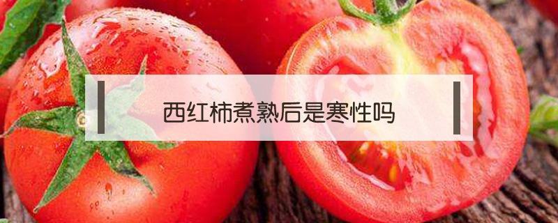西红柿煮熟后是寒性吗