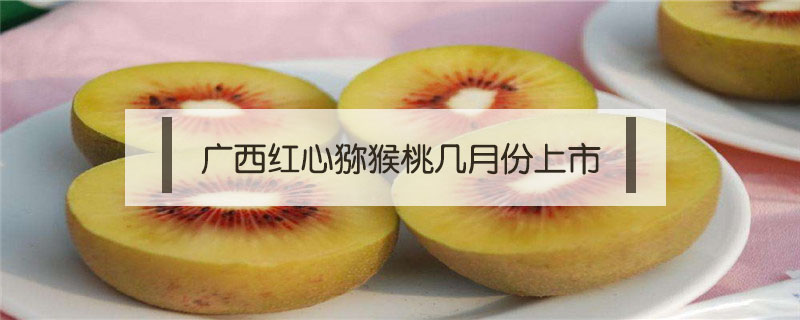 广西红心猕猴桃几月份上市