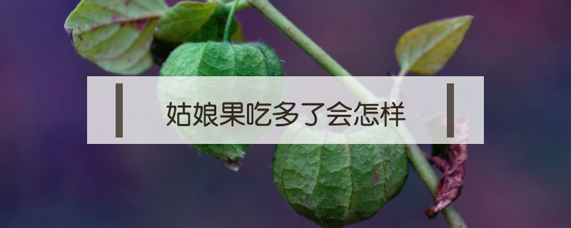 姑娘果吃多了会怎样