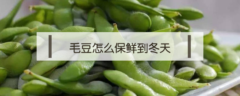 毛豆怎么保鲜到冬天