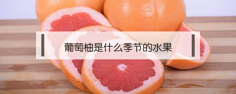 葡萄柚是什么季节的水果