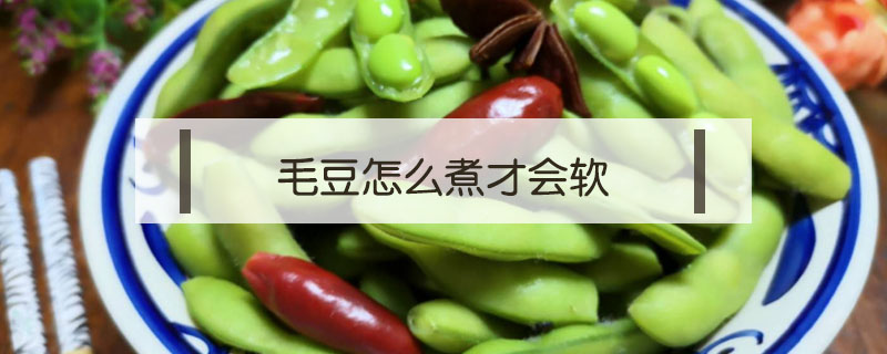 毛豆怎么煮才会软