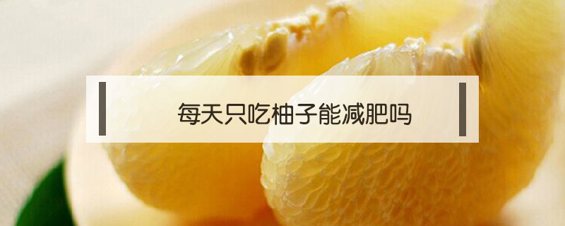 每天只吃柚子能减肥吗